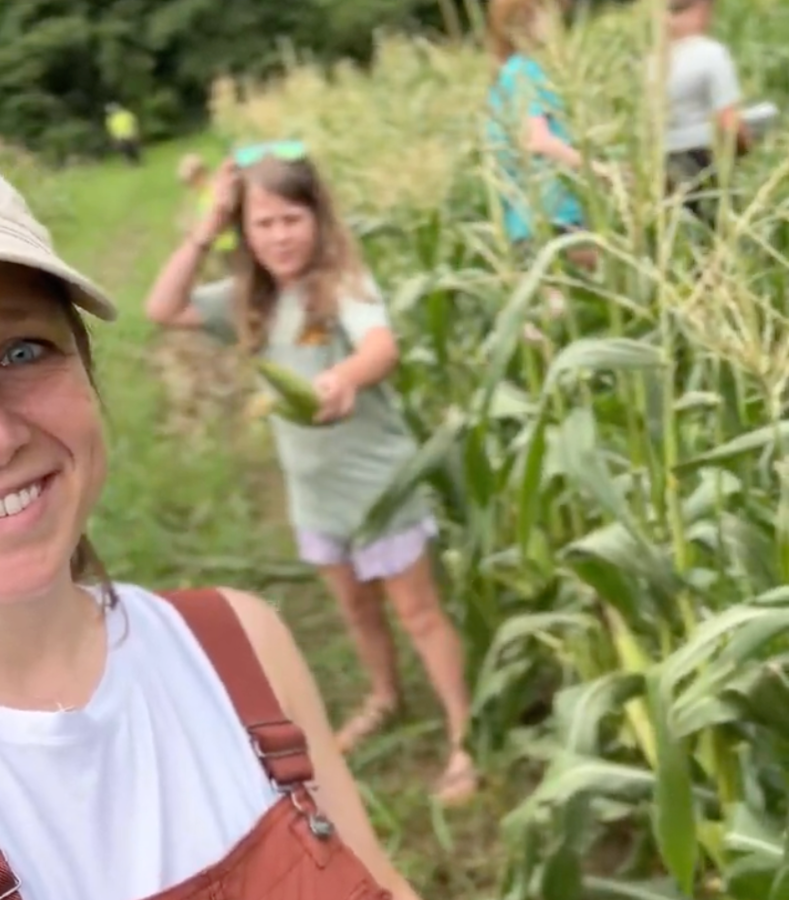 kids and mom picking sweet corn