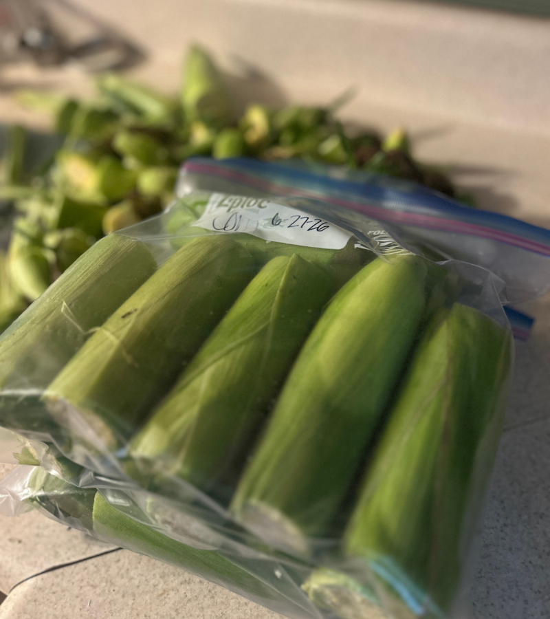 how to freeze sweet corn trimmed and in bags- still in the husk