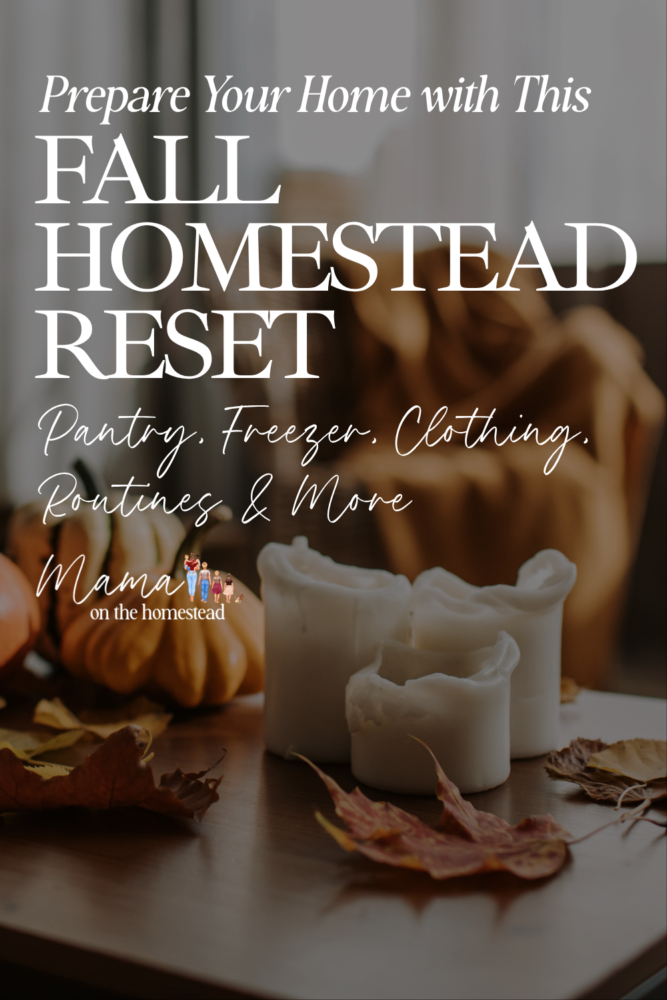 Prepare your home with this fall homestead reset: Pantry, freezer, clothing, routines, and more! | Mama on the Homestead